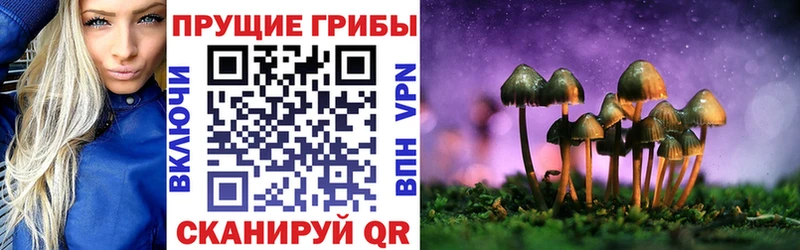 Галлюциногенные грибы MAGIC MUSHROOMS Боготол